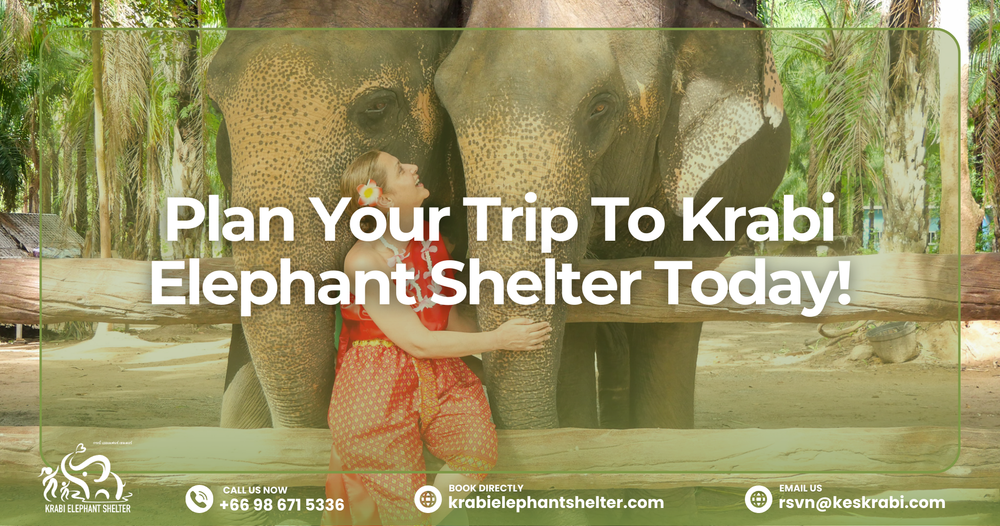Plan Your Trip To Krabi Elephant Shelter Today!