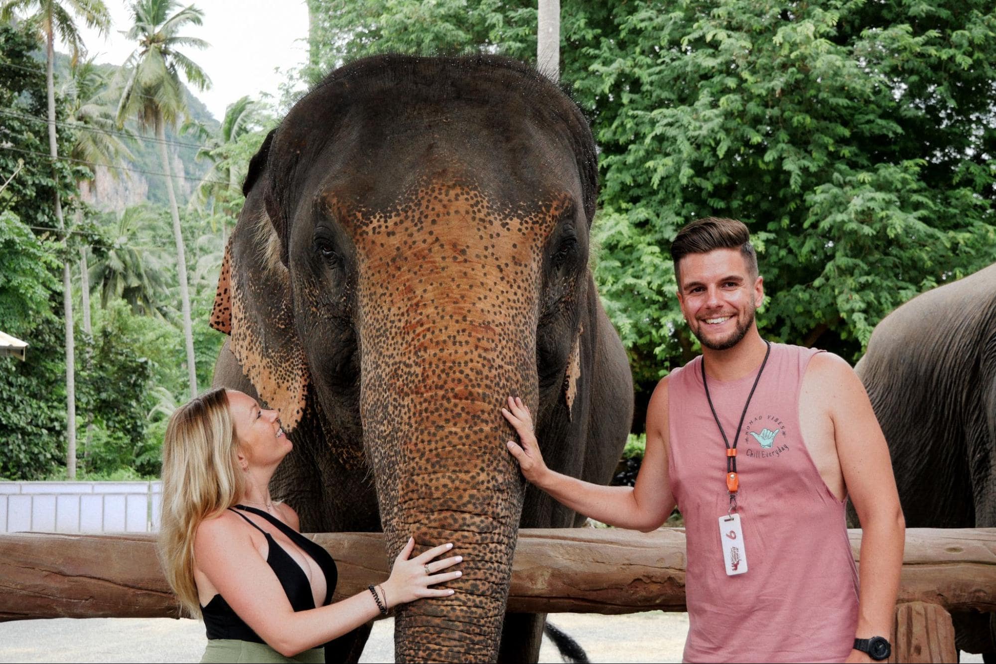 meeting with thailand national animal elephants