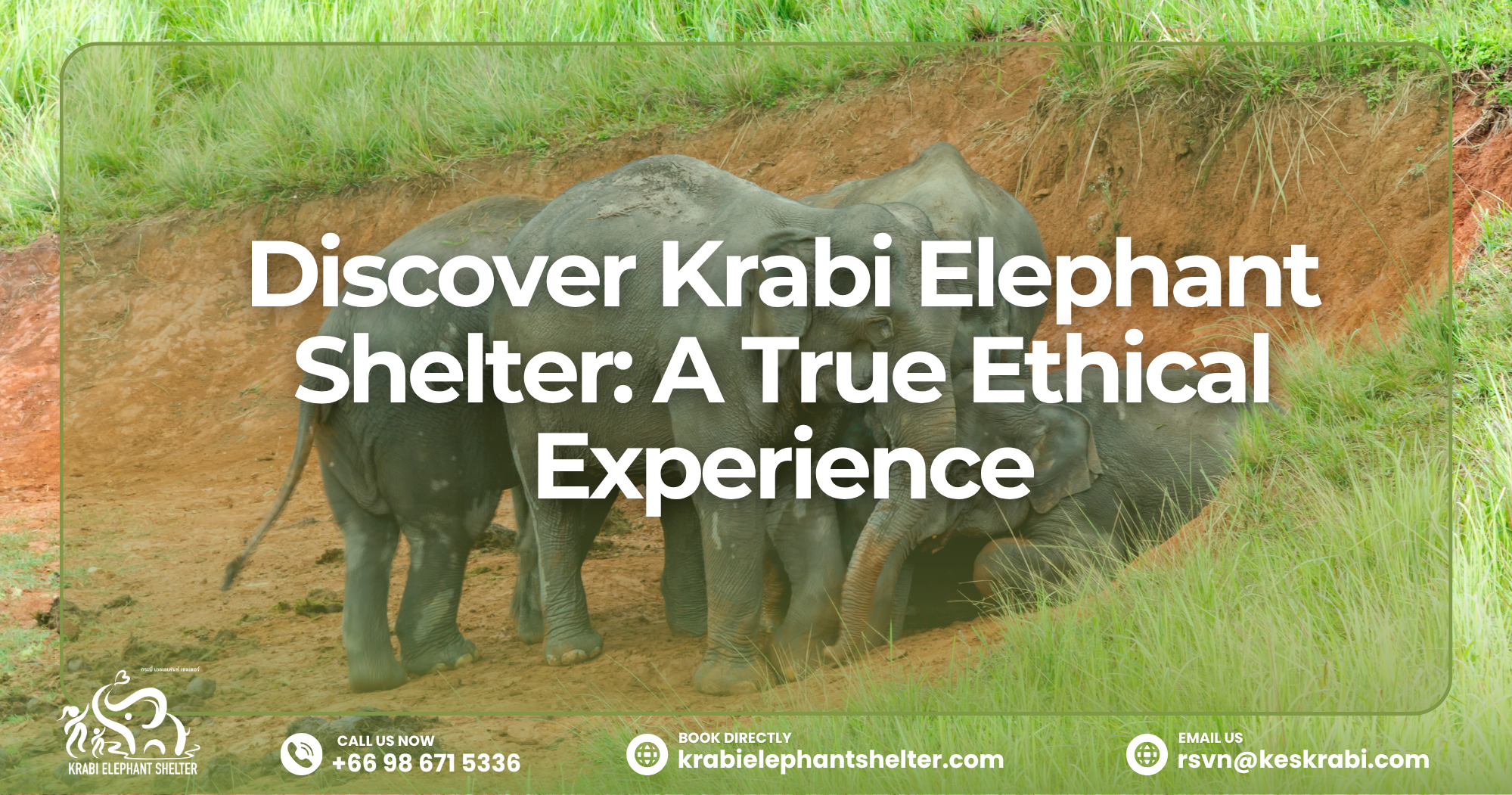 Eco-tourism - Discover Krabi Elephant Shelter_ A True Ethical Experience