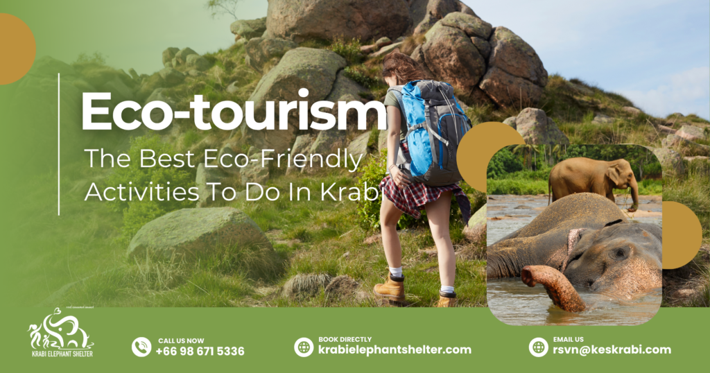 Eco-tourism - The Best Eco-Friendly Activities To Do In Krabi