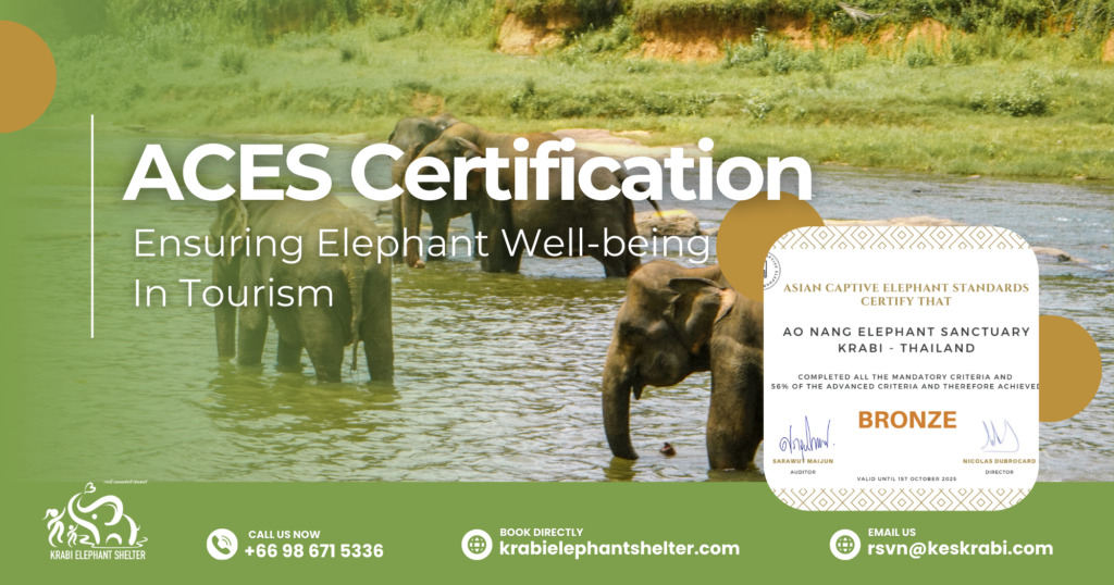 Elephant ACES Certification