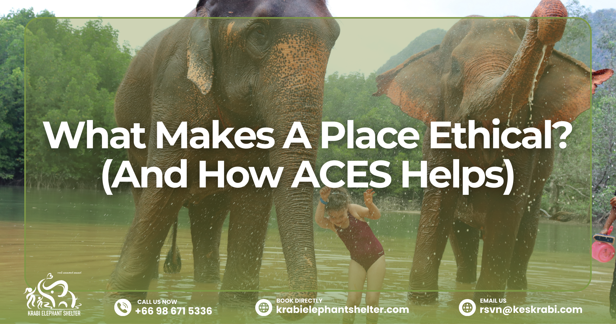 Elephant ACES Certification (2)