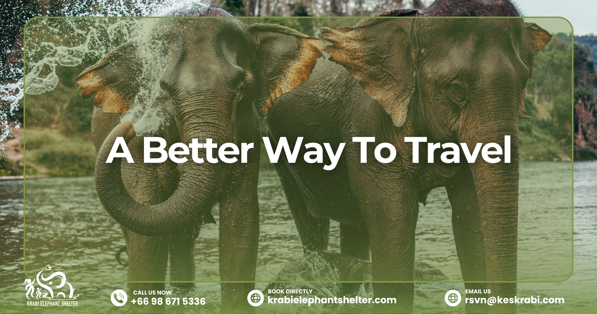 Elephant ACES Certification 