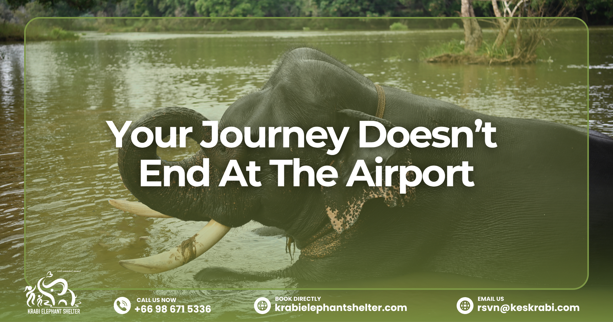 Elephant Conservation 