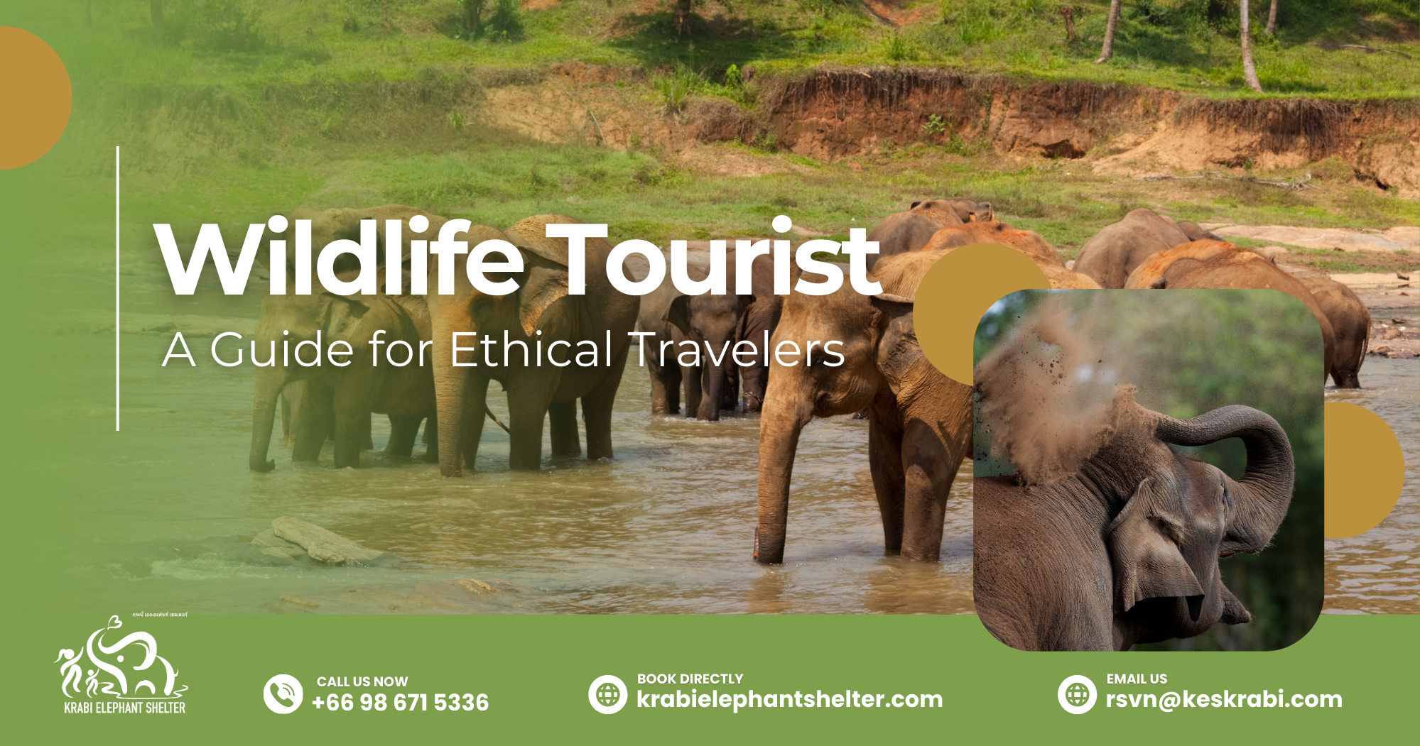 Wildlife Tourist