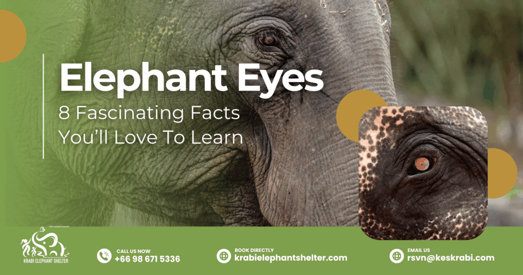8 Fascinating Facts You’ll Love To Learn
