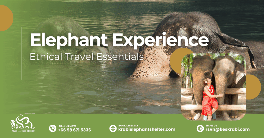 Elephant Experience_ Ethical Travel Essentials