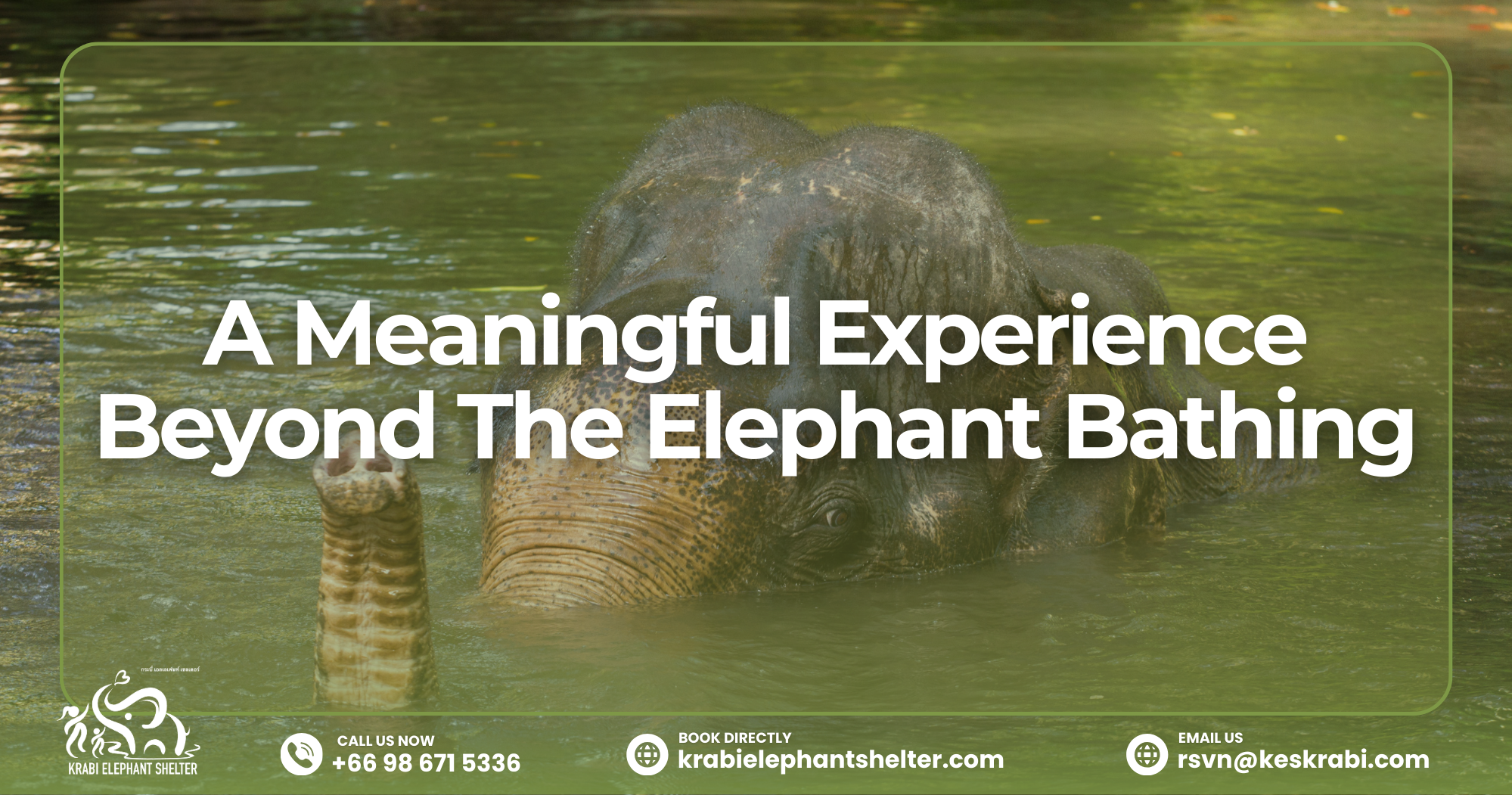 A Meaningful Experience Beyond The Elephant Bathing