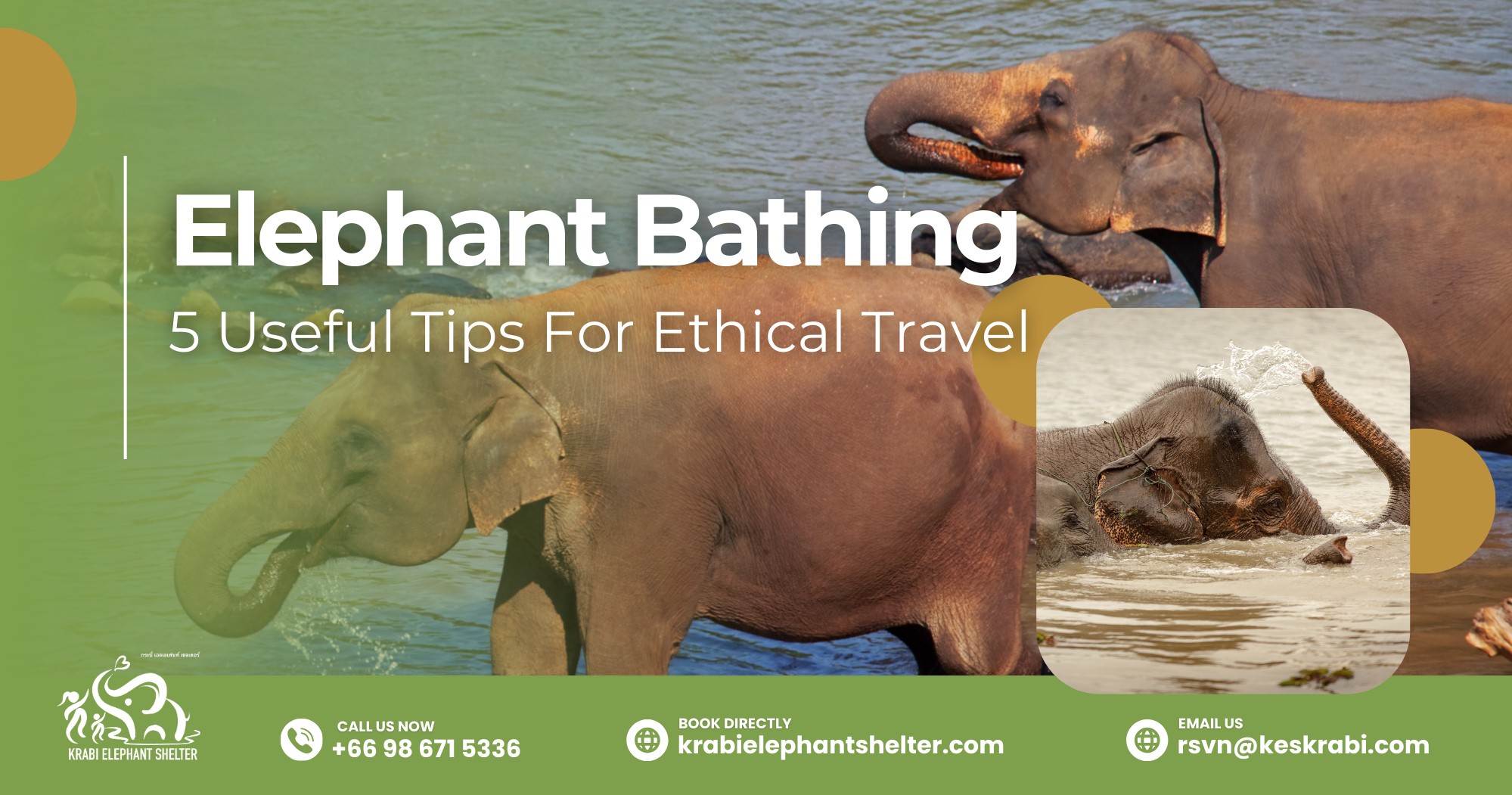 Visitors enjoying elephant bathing with elephants in Krabi