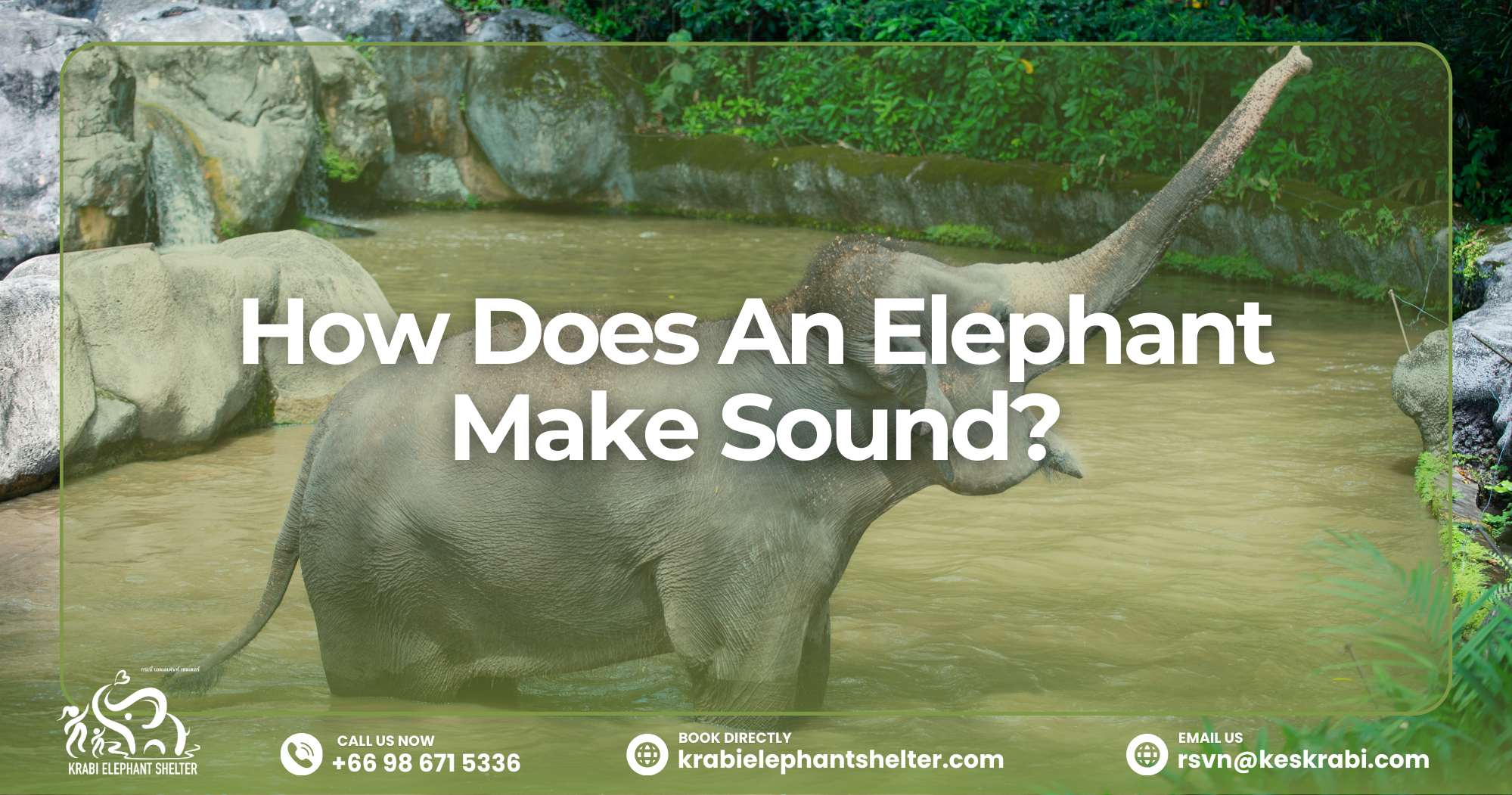 How Does An Elephant Make Sound