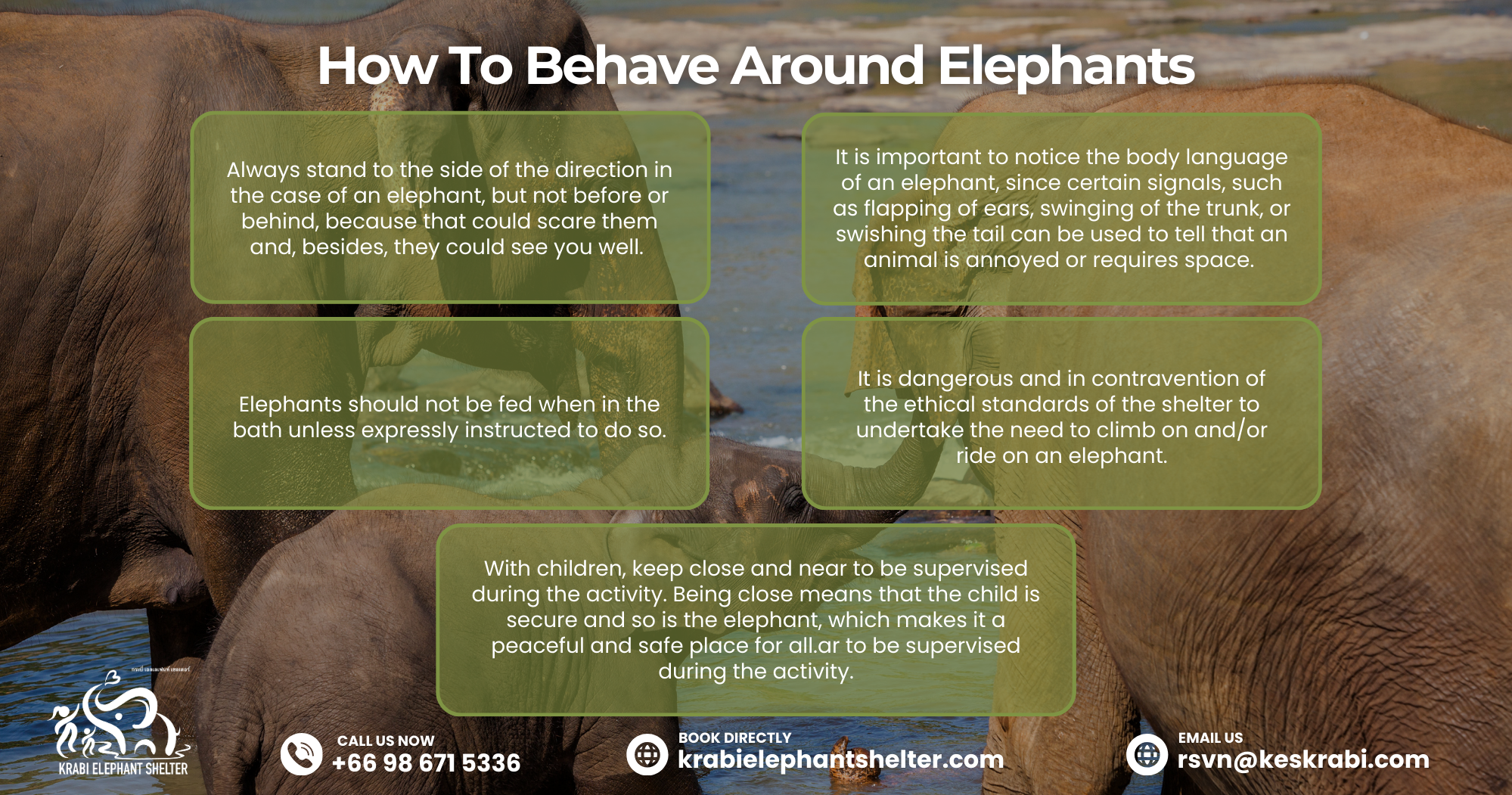 How To Behave Around Elephants during elephant bathing