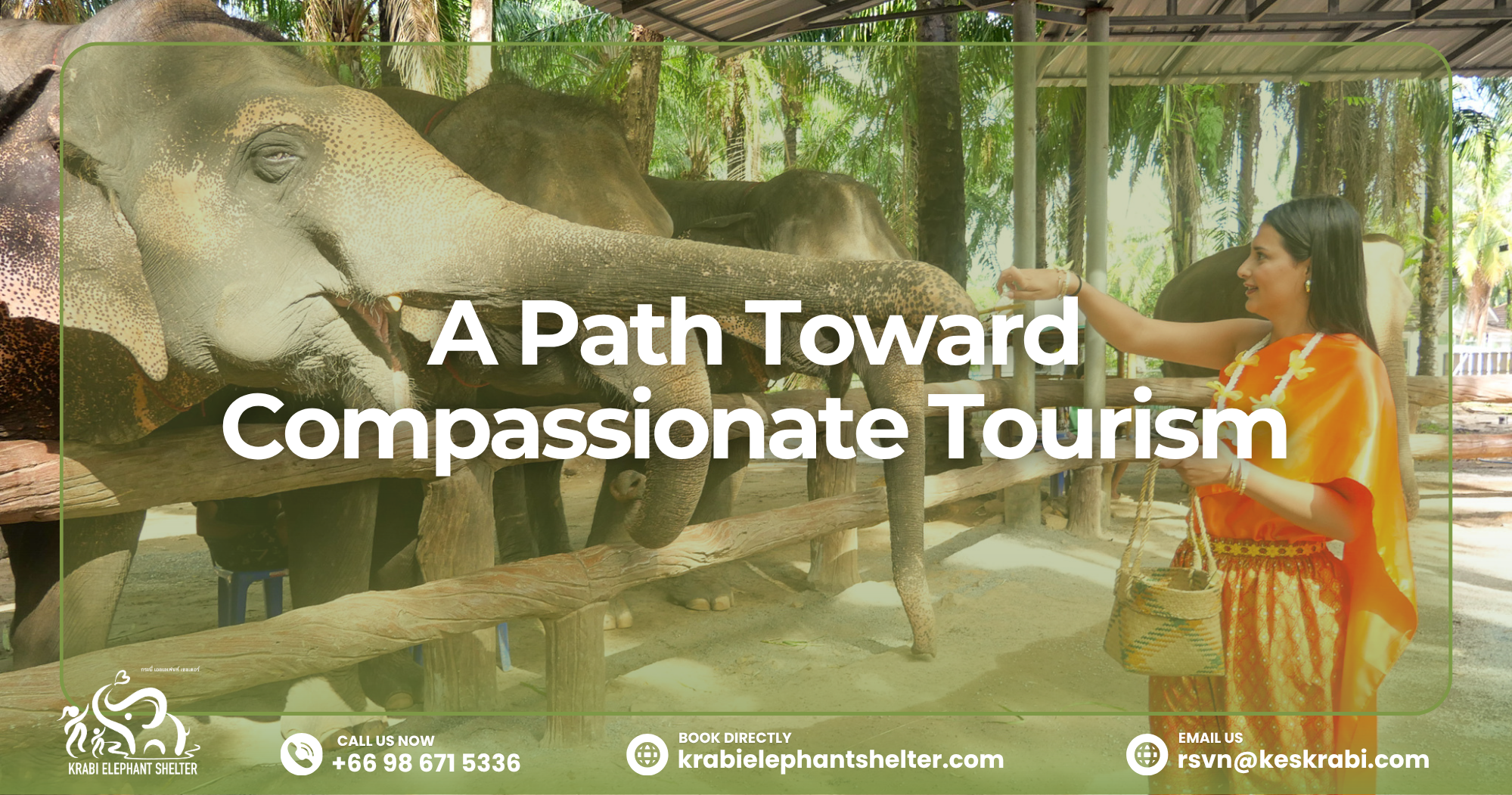A rescued elephant walking freely at a sanctuary in Krabi