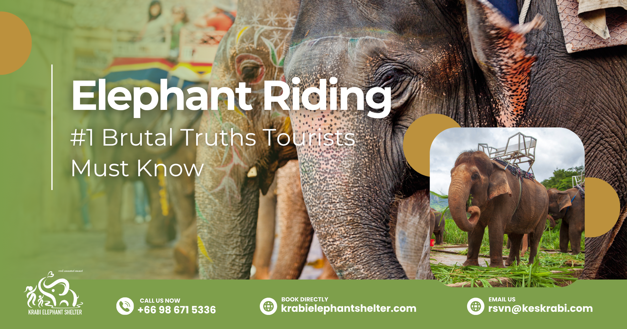 Elephant Riding: #1 Brutal Truths Tourists Must Know