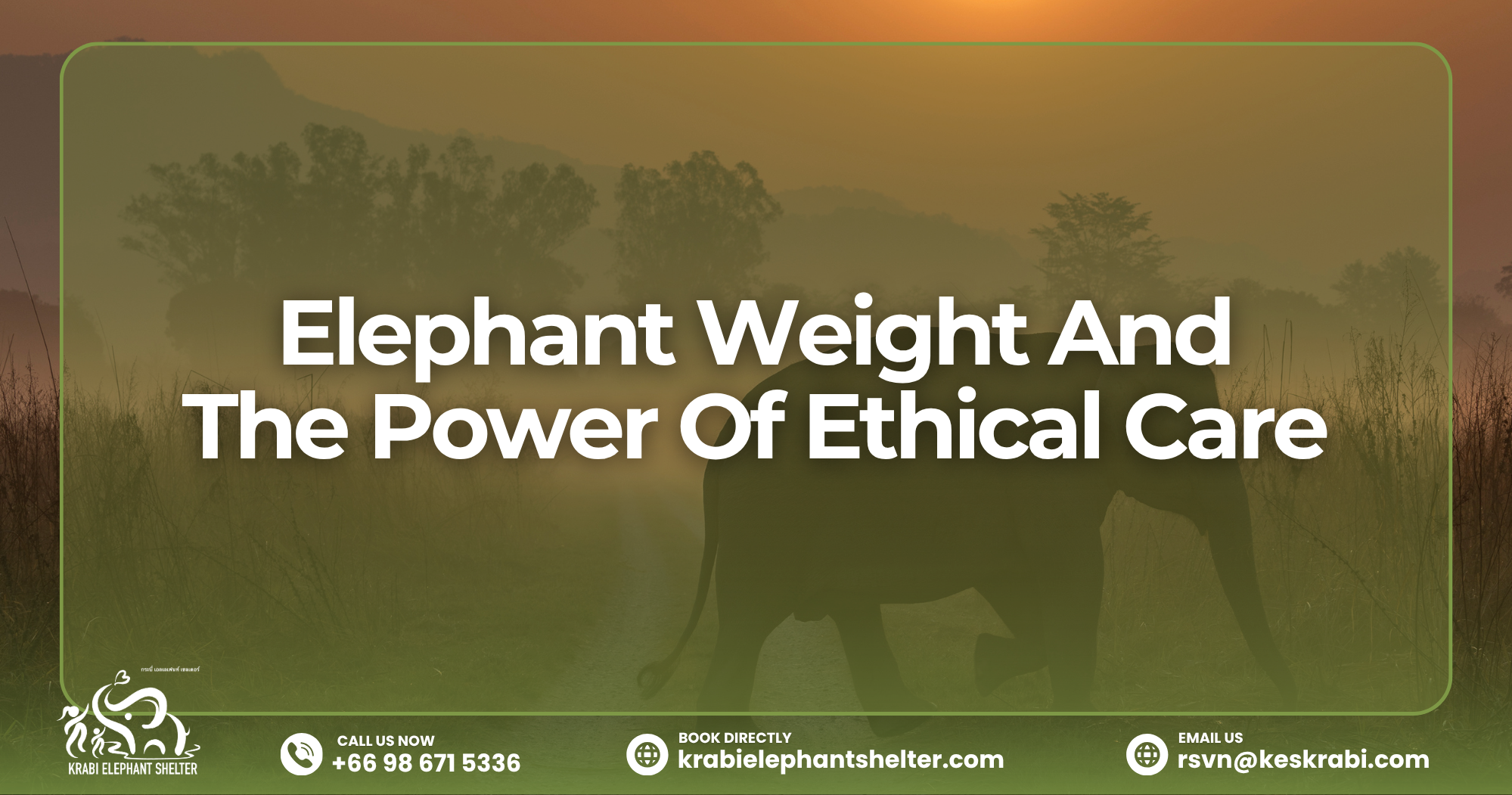 Elephant Weight And The Power Of Ethical Care