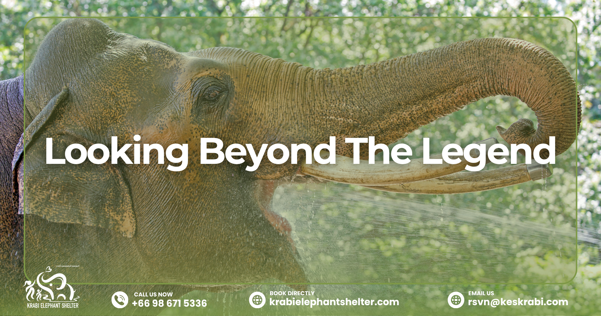 Elephant_and_Mouse_Myth