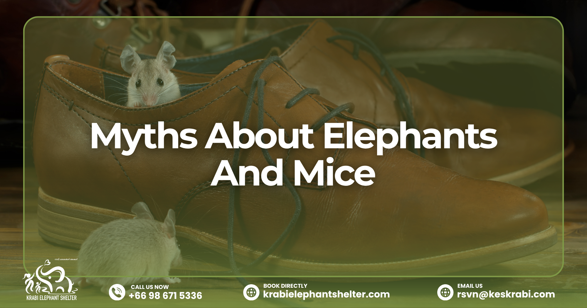 Myths About Elephants And Mice