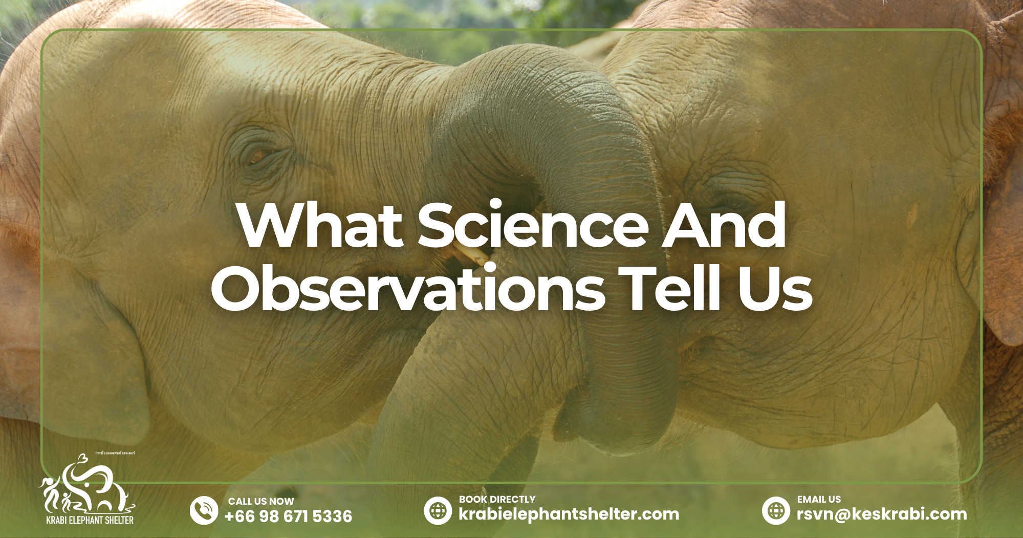 What Science And Observations Tell Us about Elephants and Mouse
