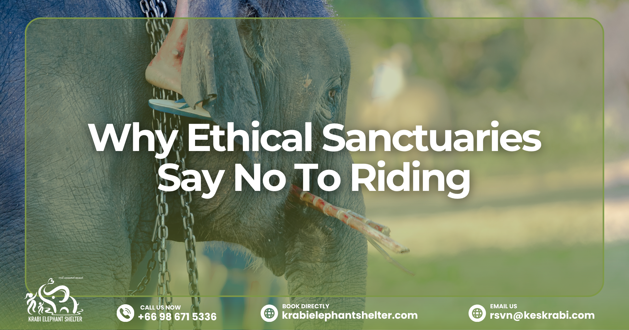 Why Ethical Sanctuaries Say No To Elephant Riding