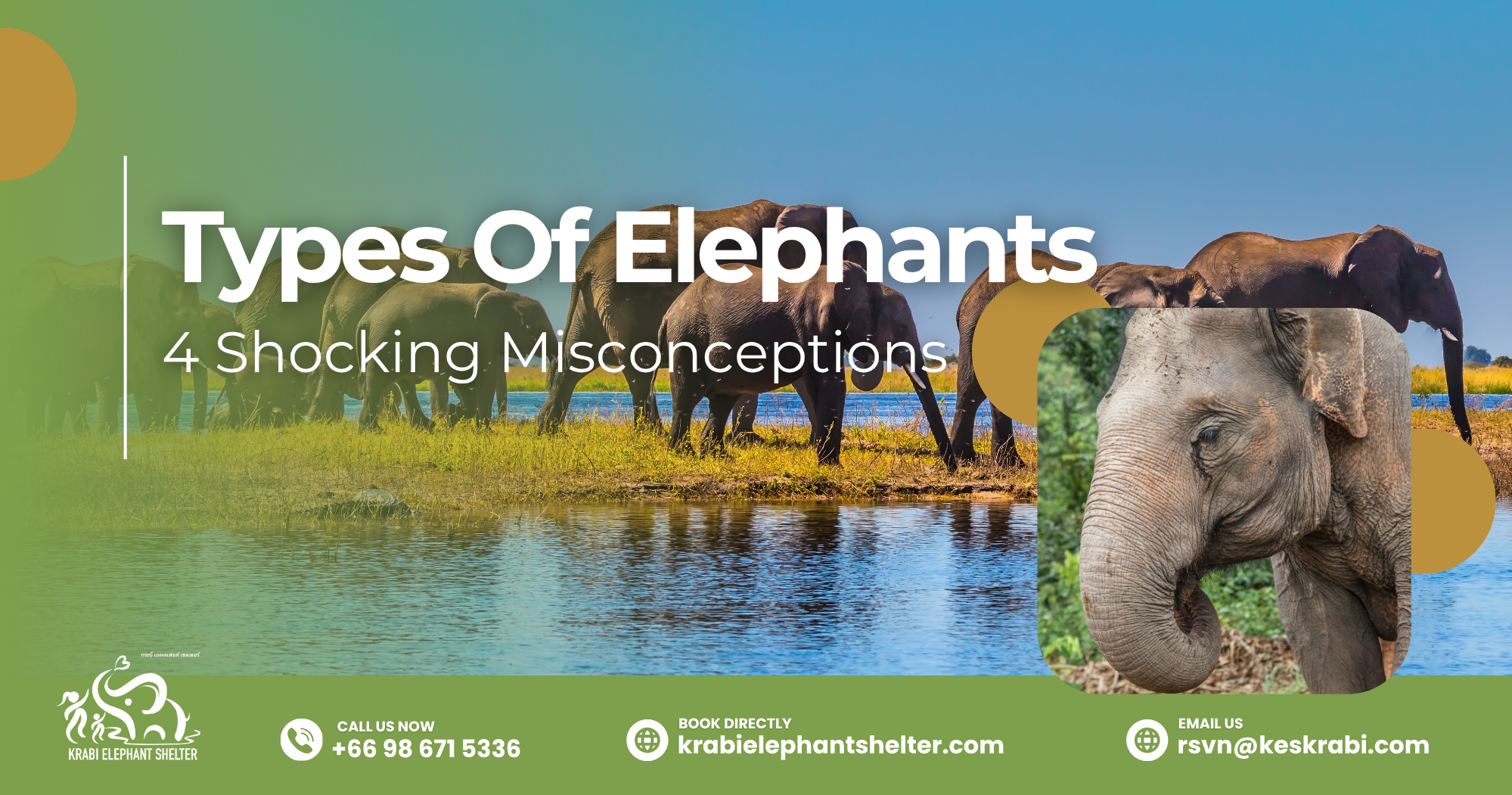 3 Types Of Elephants