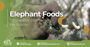Elephant Foods_ 7 Incredible Diet Secrets For Vitality