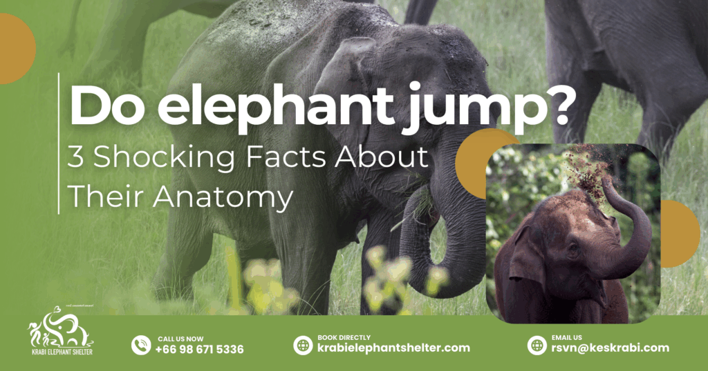 Do elephant jump_ 3 Shocking Facts About Their Anatomy