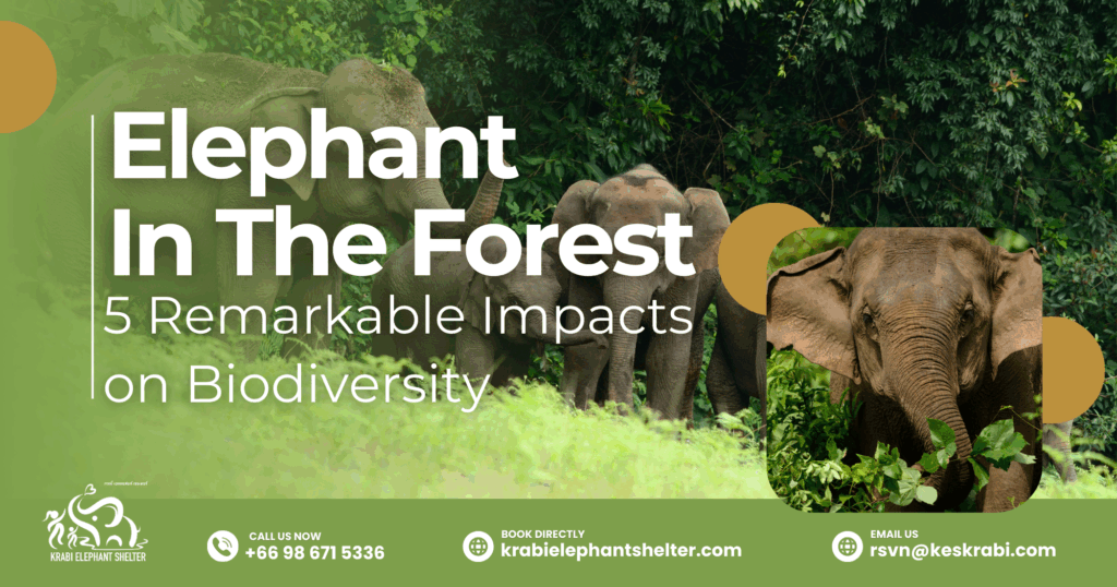 Elephant In The Forest_ 5 Remarkable Impacts on Biodiversity