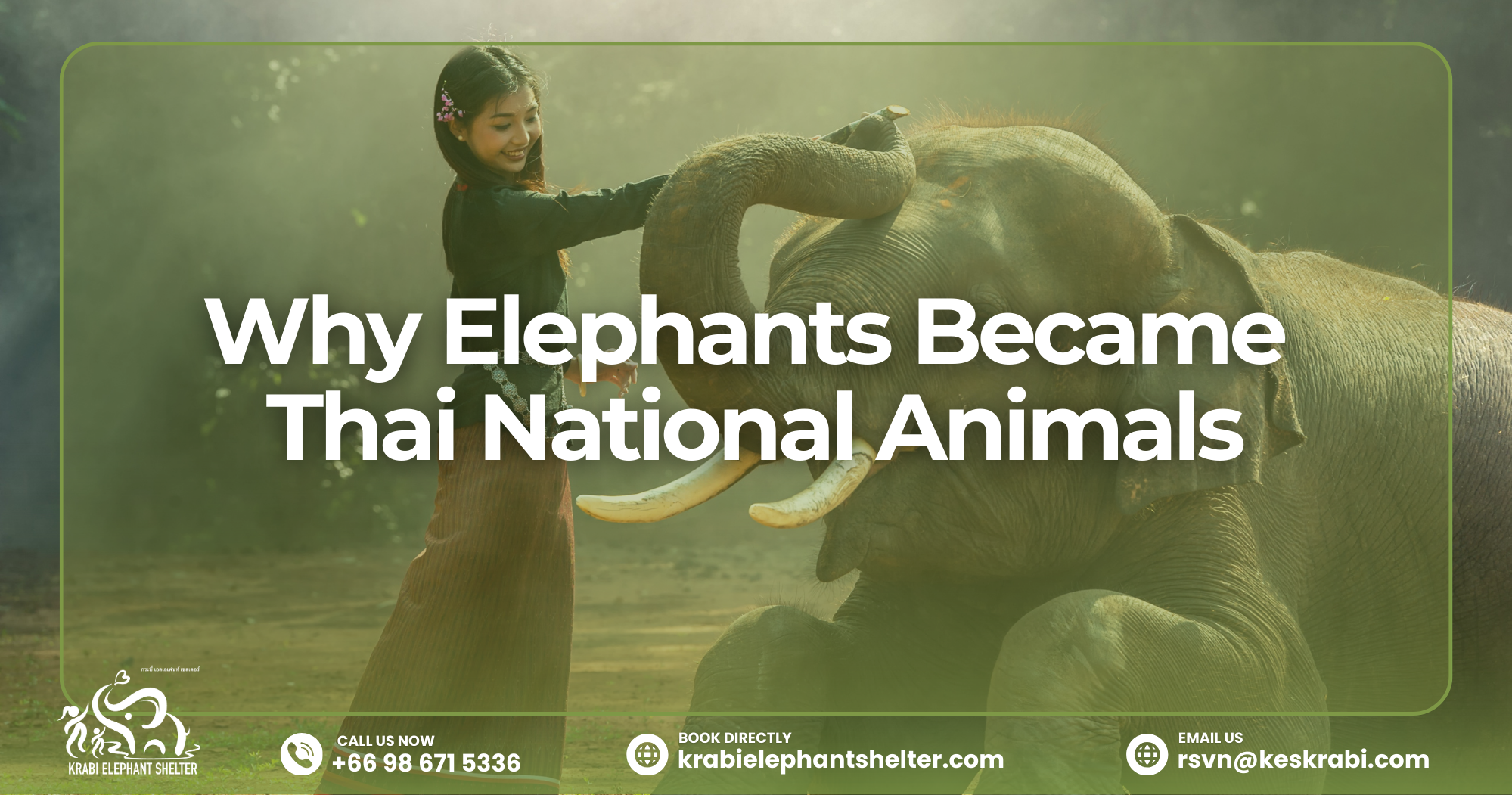 Why Elephants Became Thai National Animals