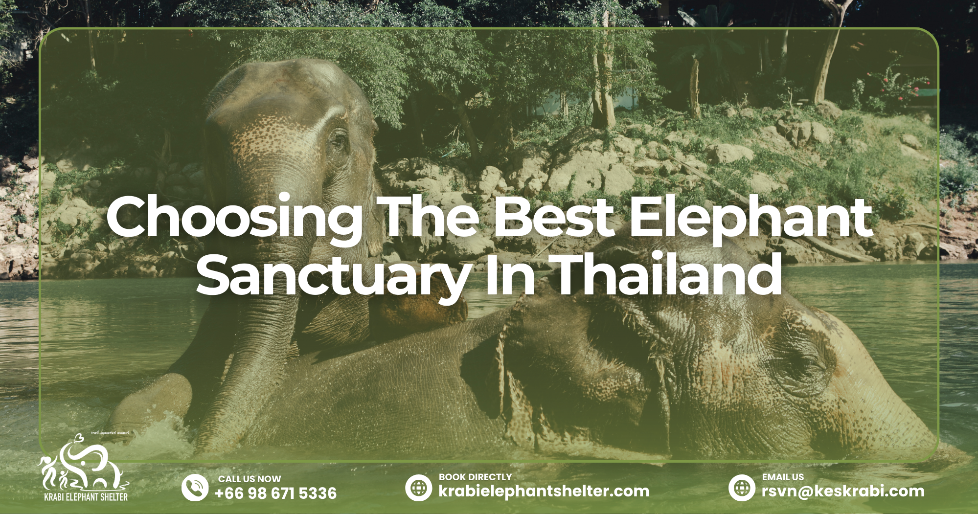 Choosing The Best Elephant Sanctuary In Thailand