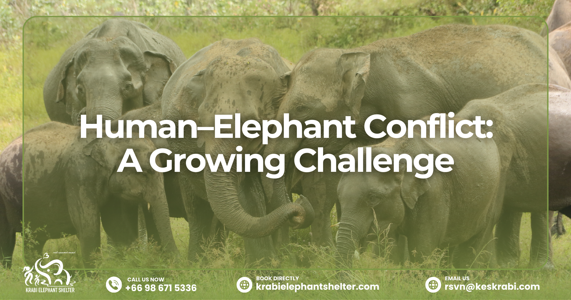 Human–Elephant Conflict_ A Growing Challenge