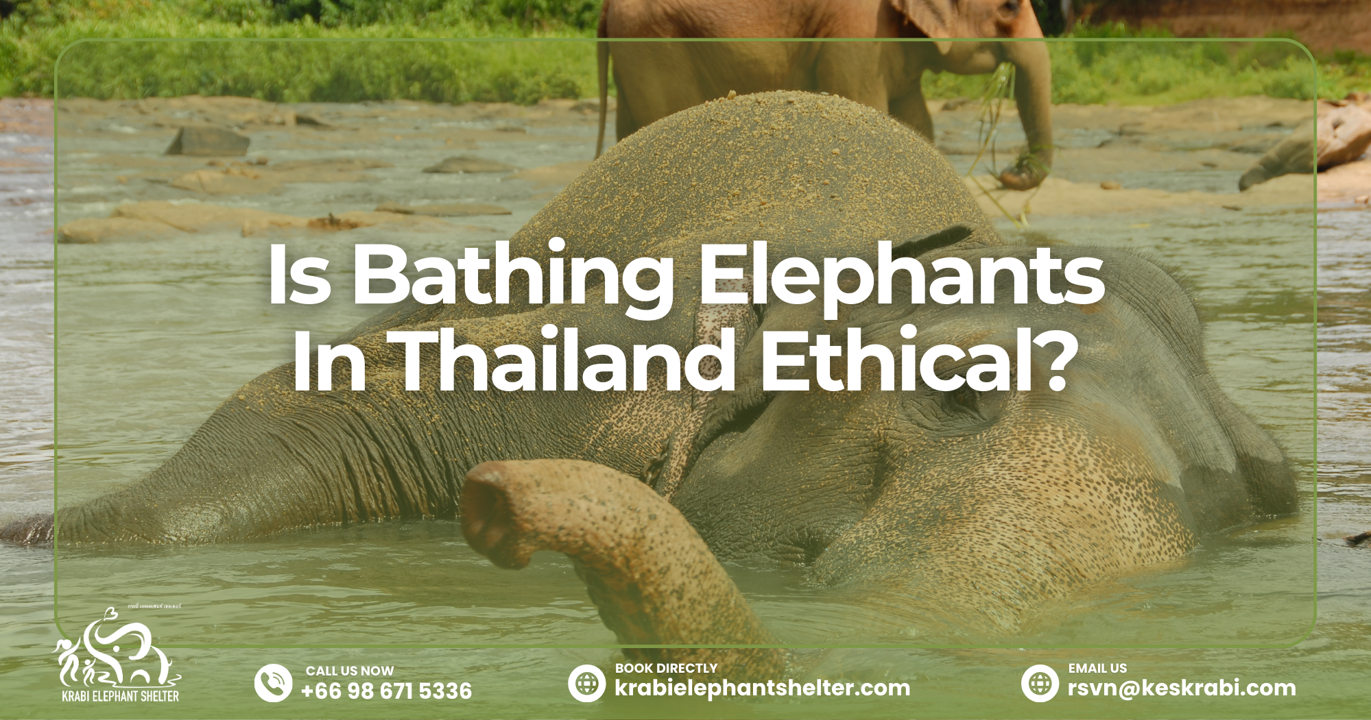 Is Bathing Elephants In Thailand Ethical