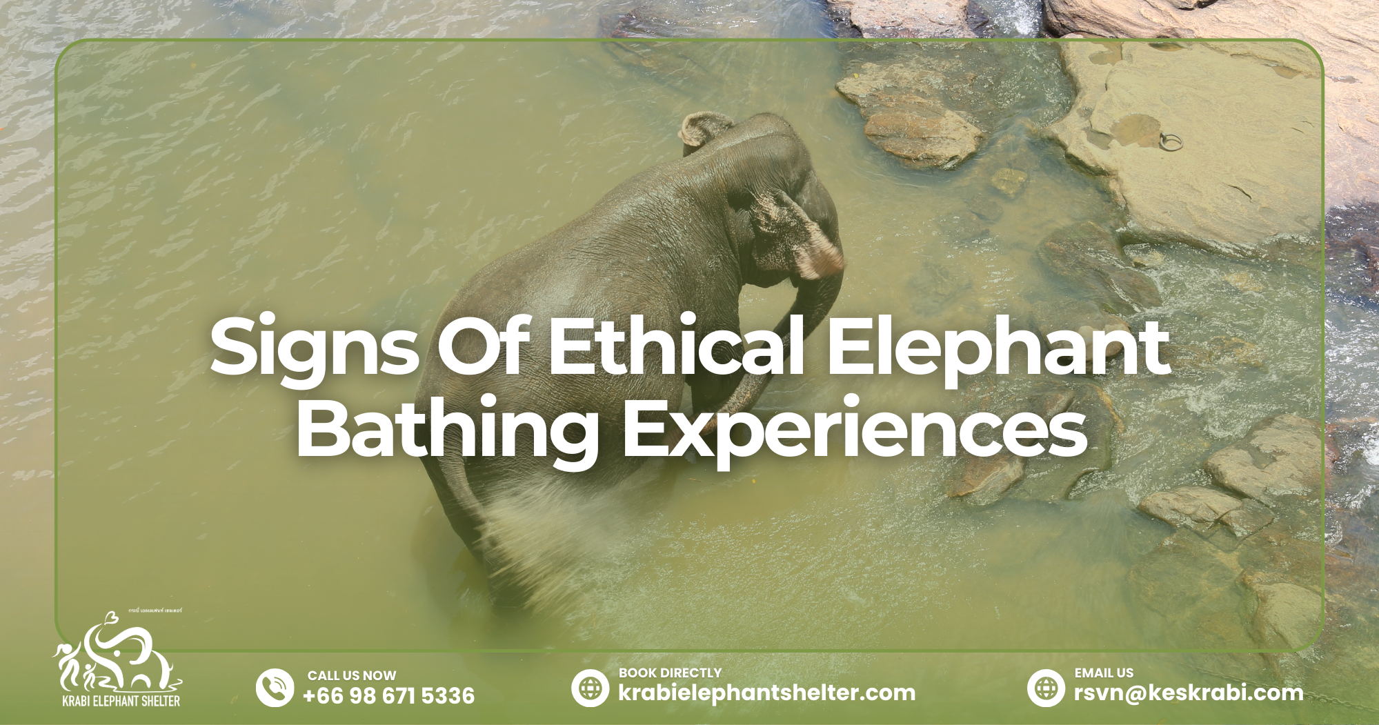 Signs Of Ethical Elephant Bathing Experiences