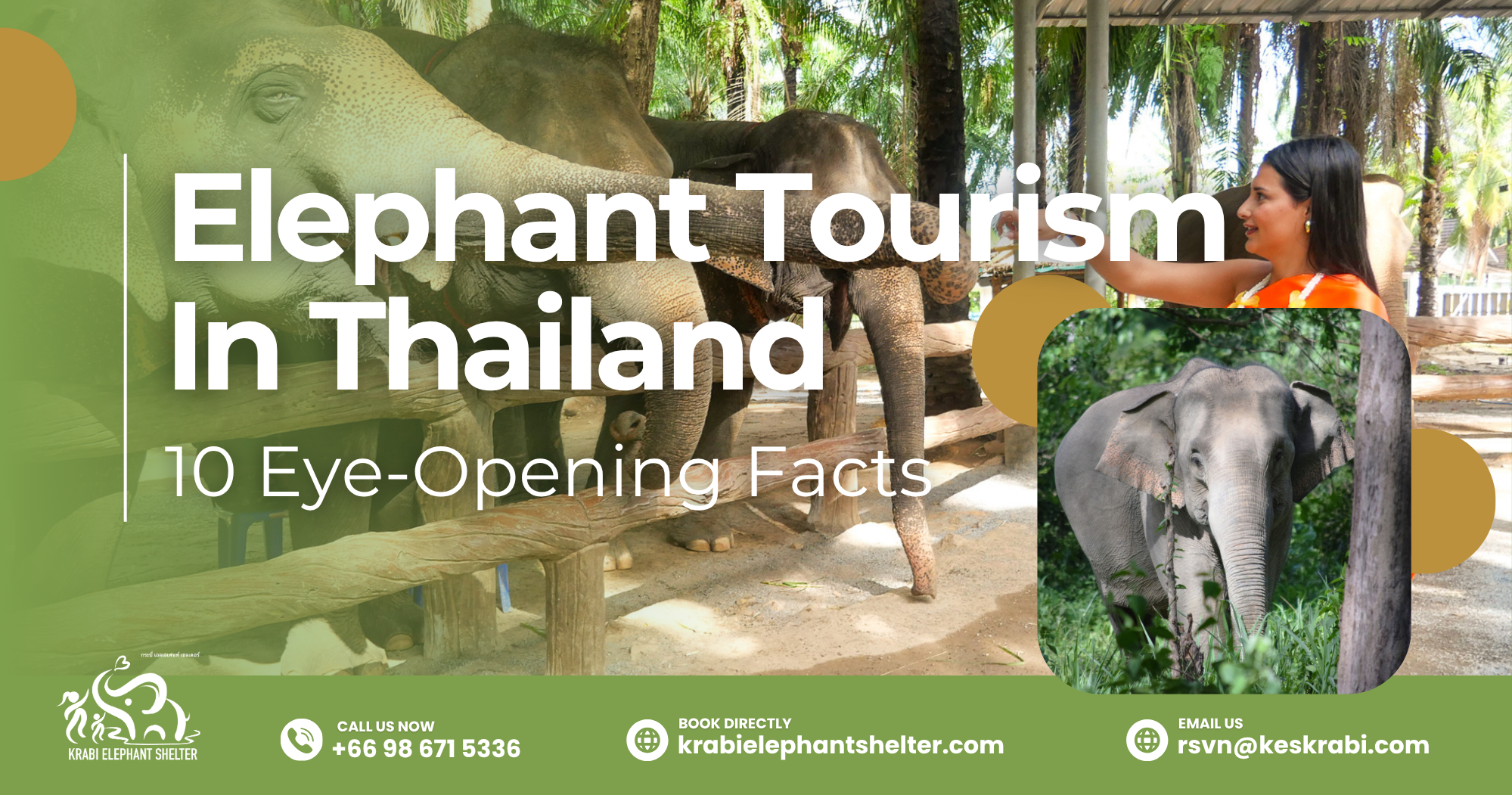 Elephant Tourism In Thailand_ 10 Eye‑Opening Facts