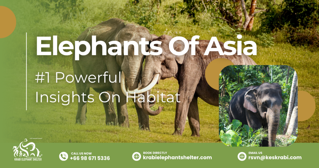 Elephants Of Asia_ #1 Powerful Insights On Habitat