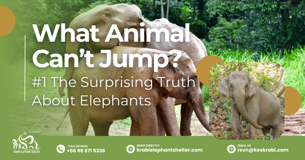 What Animal Can’t Jump_ #1 The Surprising Truth About Elephants